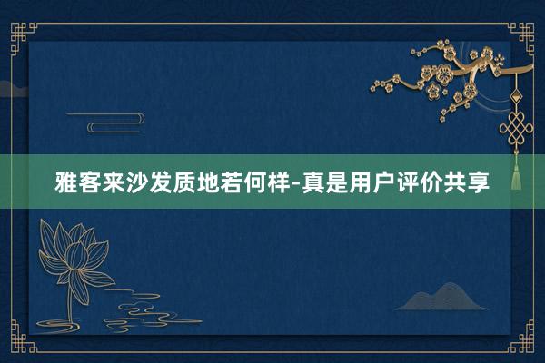 雅客来沙发质地若何样-真是用户评价共享