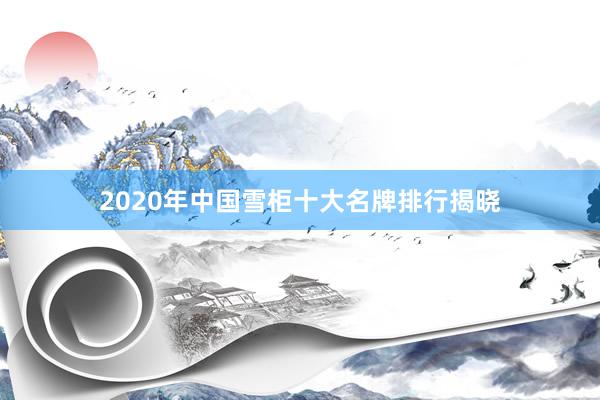 2020年中国雪柜十大名牌排行揭晓